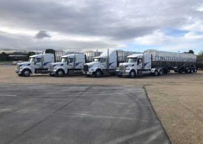 new-trailers